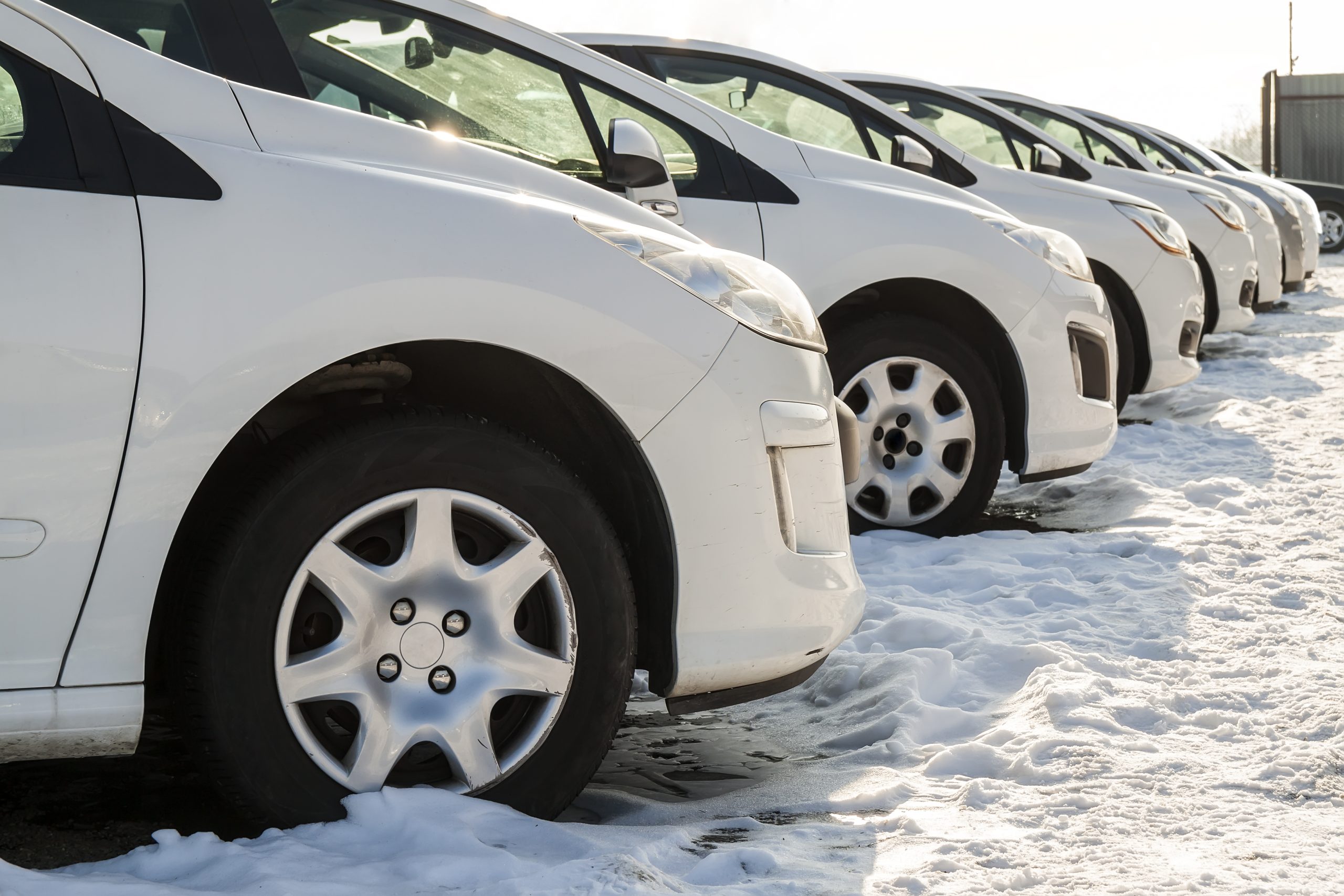 parked-cars-on-a-lot-row-of-new-cars-on-the-car-d-2023-11-27-05-01-54-utc